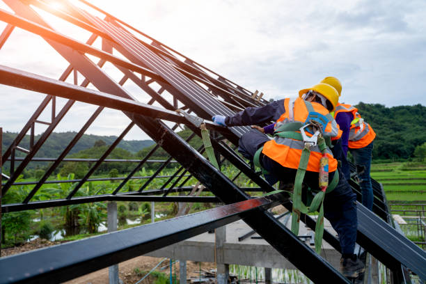Best Metal Roofing Contractor  in Kekaha, HI